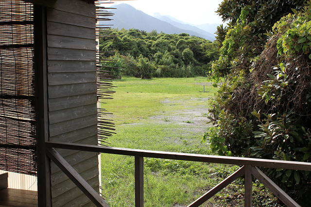 http://greenmessenger-yakushima.com/blog/%E3%81%8B%E3%81%8D%E6%B0%B7%E3%81%AE%E5%BA%97.jpg