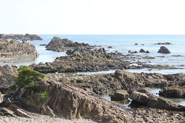 http://greenmessenger-yakushima.com/blog/%E5%AE%89%E6%88%BF%E3%81%AE%E6%B5%B7.jpg