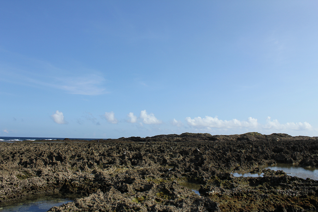 http://greenmessenger-yakushima.com/blog/%E6%98%A5%E7%94%B0%E6%B5%9C%EF%BC%95.jpg