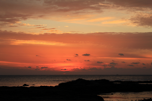 http://greenmessenger-yakushima.com/blog/%E6%9C%9D%E6%97%A5.jpg