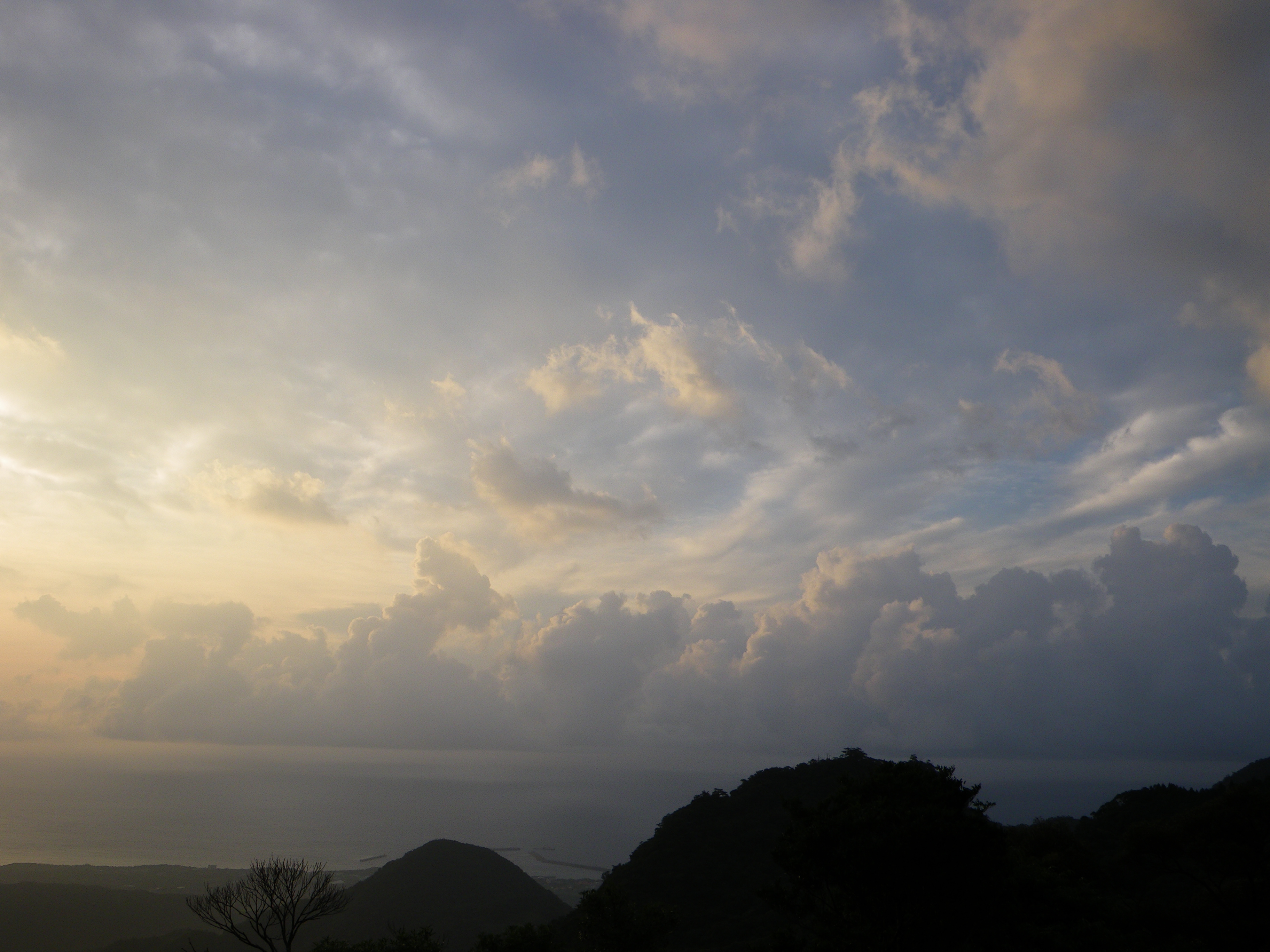 http://greenmessenger-yakushima.com/blog/%E6%9C%9D%EF%BC%91.JPG