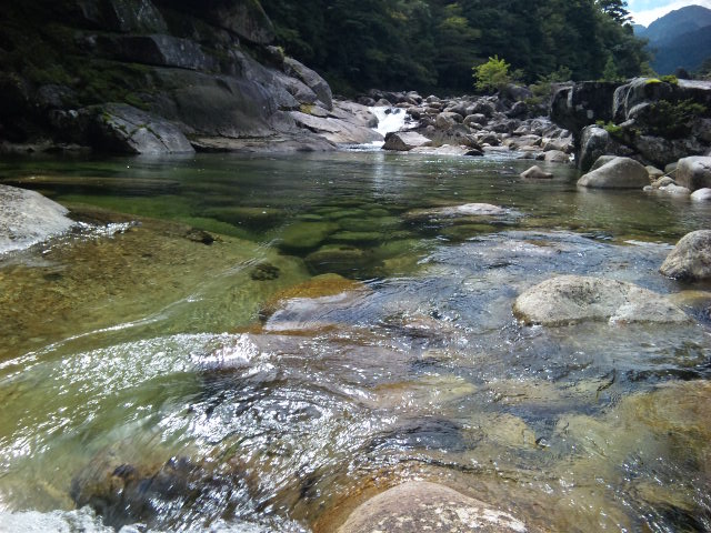 http://greenmessenger-yakushima.com/blog/%E6%A5%A0%E5%B7%9D%E5%88%86%E3%81%8B%E3%82%8C%E5%B7%9D.jpg