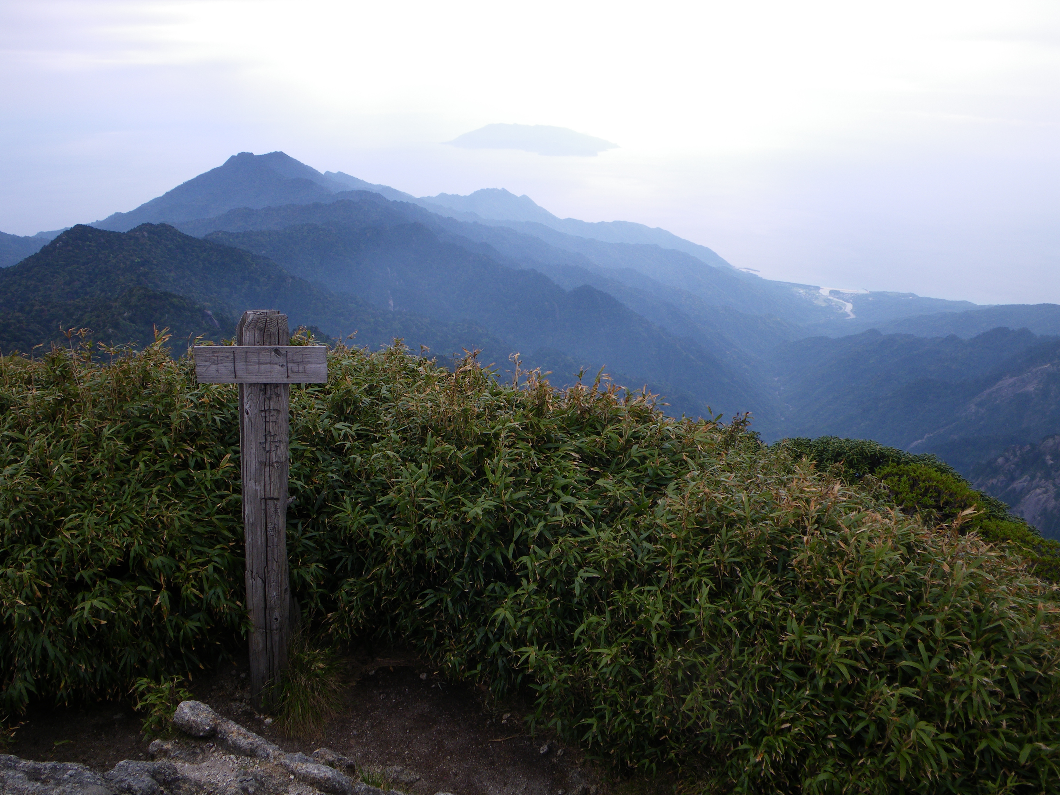 http://greenmessenger-yakushima.com/blog/%E6%B0%B8%E7%94%B0%E5%B2%B3%E3%81%8B%E3%82%89.JPG