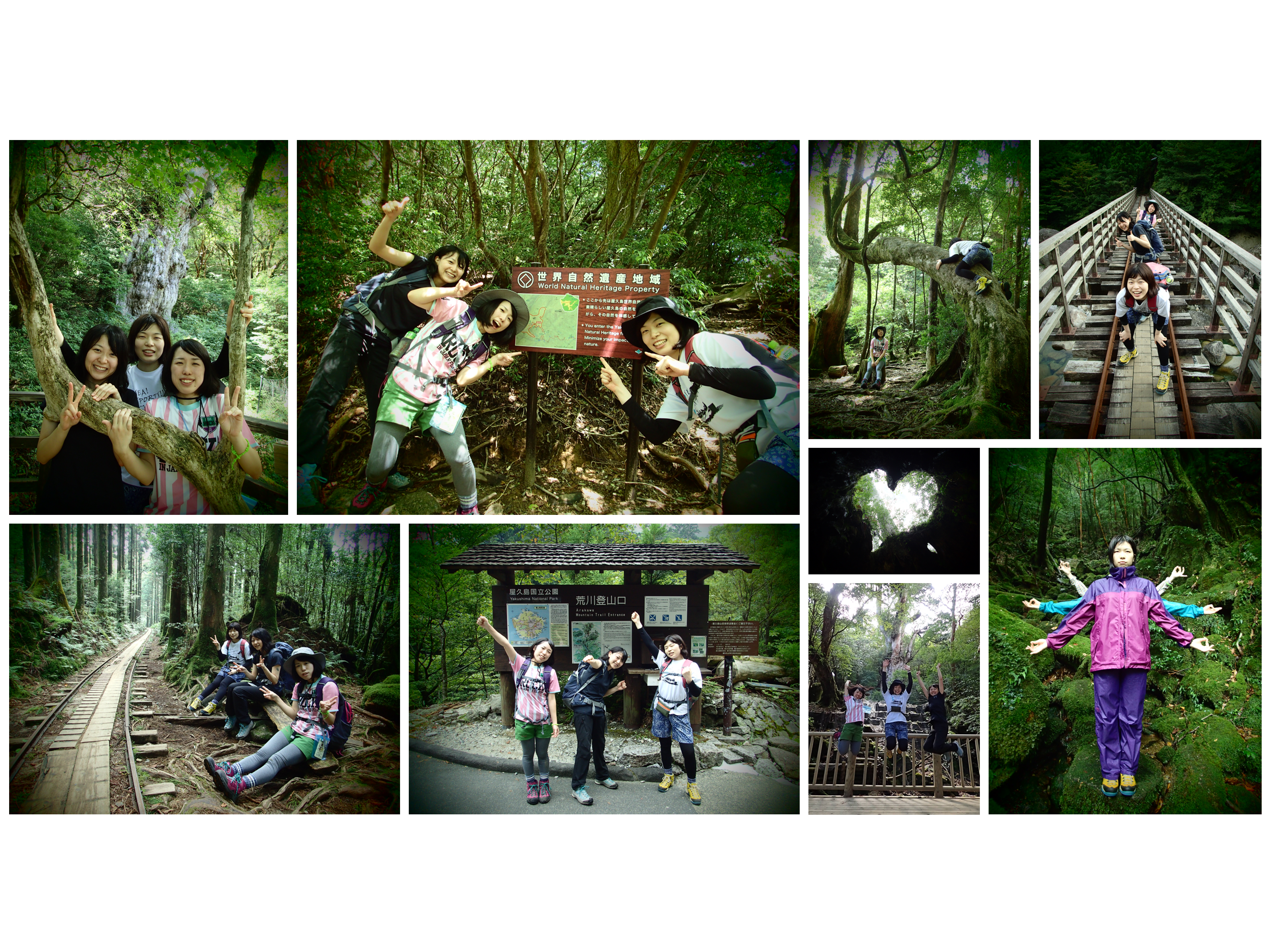 http://greenmessenger-yakushima.com/blog/%E7%84%A1%E9%A1%8C.png