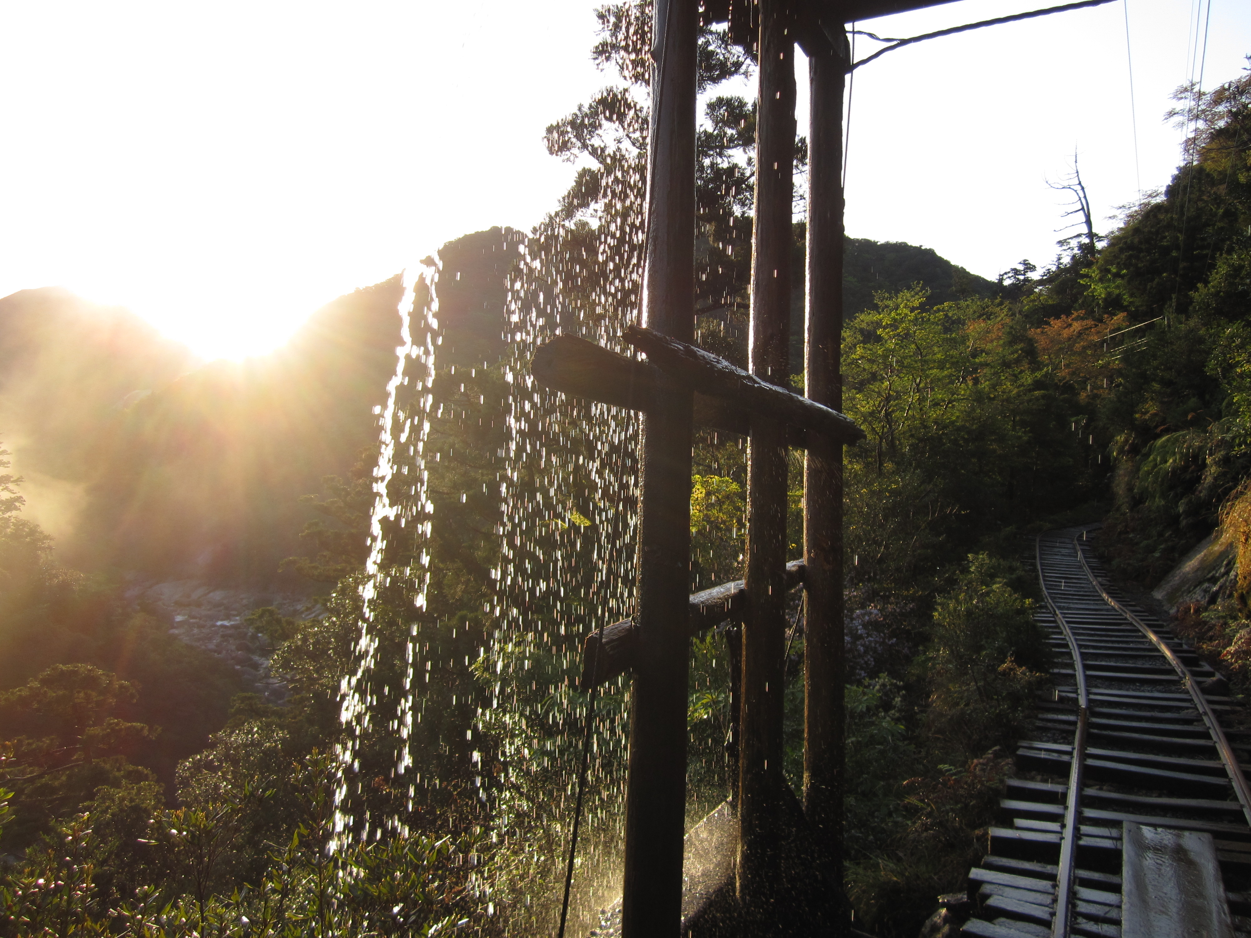 http://greenmessenger-yakushima.com/blog/%E7%94%BB%E5%83%8F%2B023.jpg