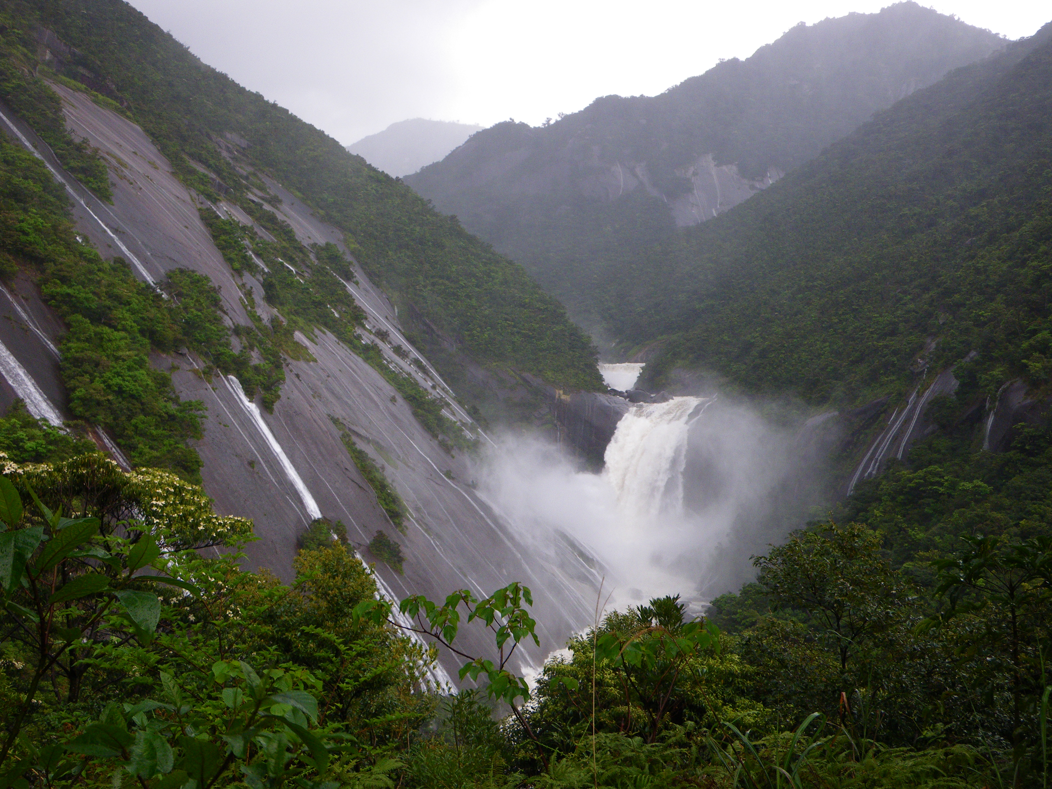 http://greenmessenger-yakushima.com/blog/%E8%8D%92%E3%82%8C%E5%8D%83%E5%B0%8B%E6%BB%9D.JPG