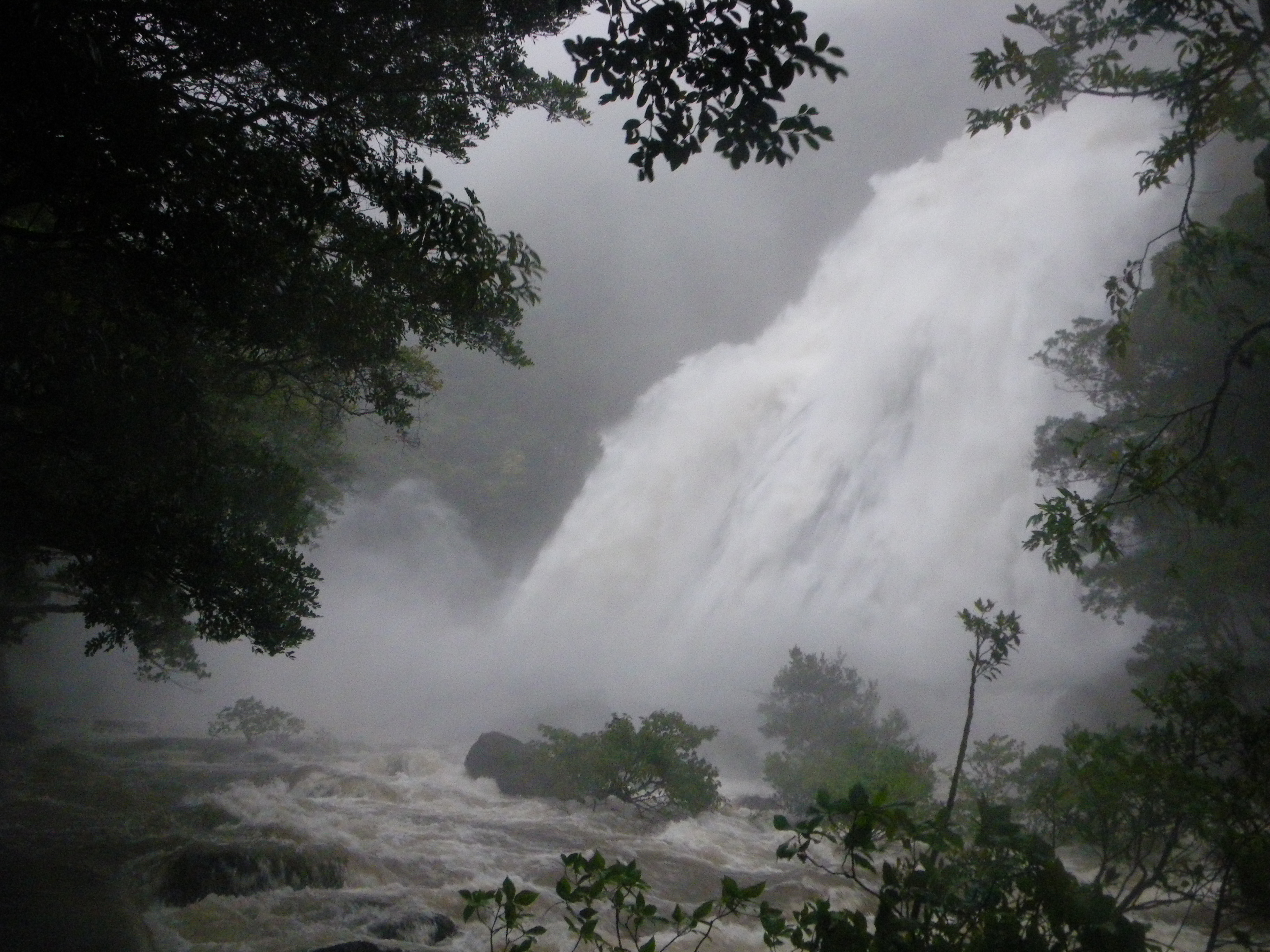 http://greenmessenger-yakushima.com/blog/%E8%8D%92%E3%82%8C%E5%A4%A7%E5%B7%9D.JPG