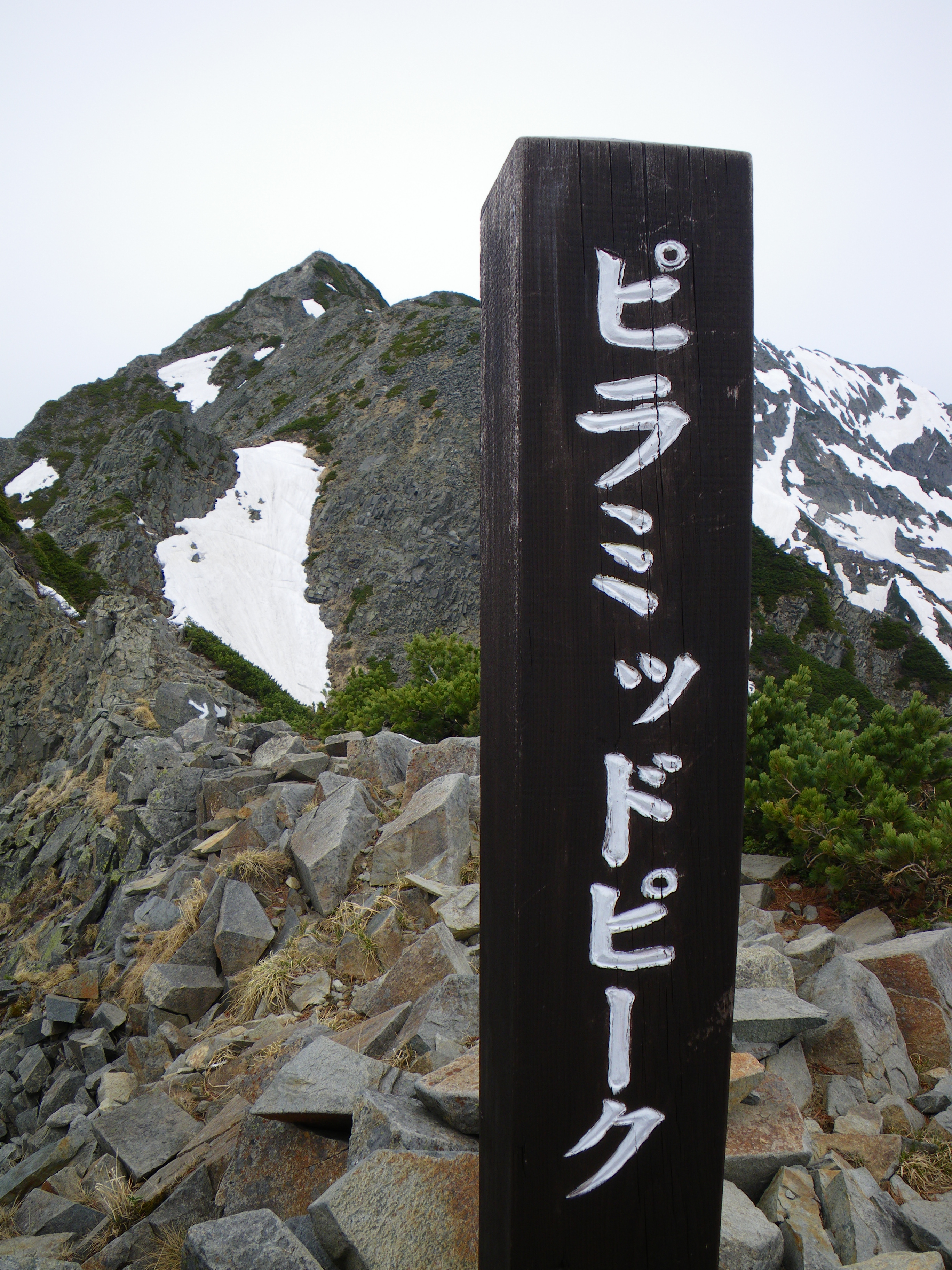 http://greenmessenger-yakushima.com/blog/%E8%A5%BF%E7%A9%82%EF%BC%92.JPG