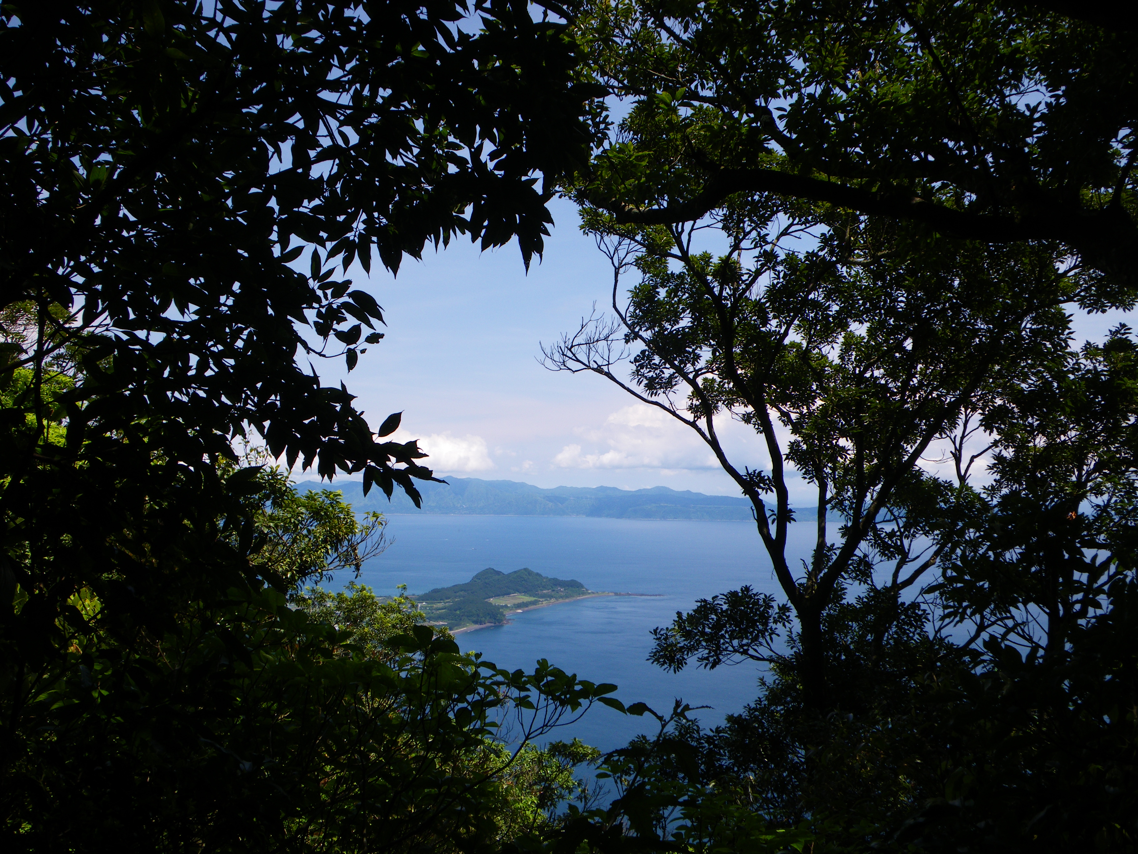 http://greenmessenger-yakushima.com/blog/%E9%96%8B%E8%81%9E%E5%B2%B3%EF%BC%92.JPG