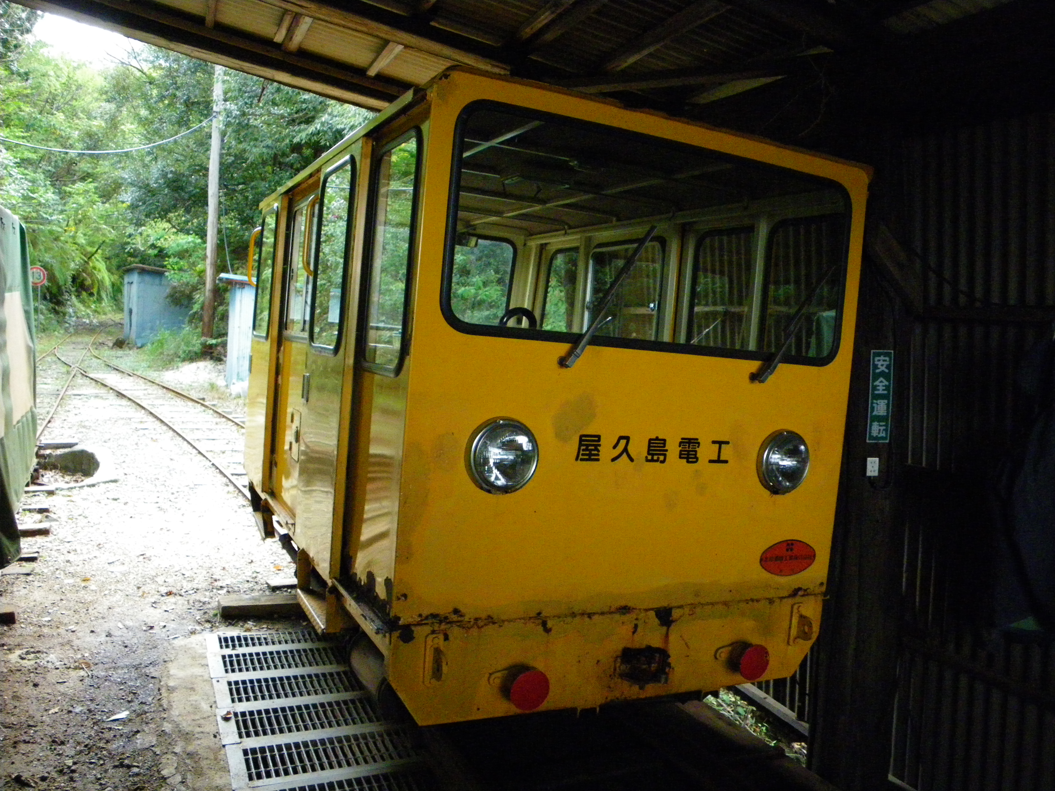 http://greenmessenger-yakushima.com/blog/017.JPG