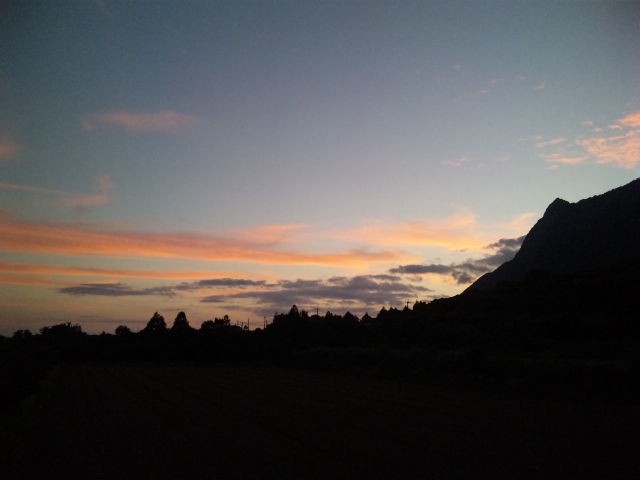 http://greenmessenger-yakushima.com/blog/026.JPG