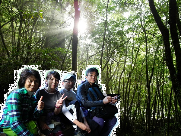 http://greenmessenger-yakushima.com/blog/1.png