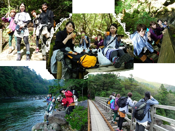 http://greenmessenger-yakushima.com/blog/10211.png