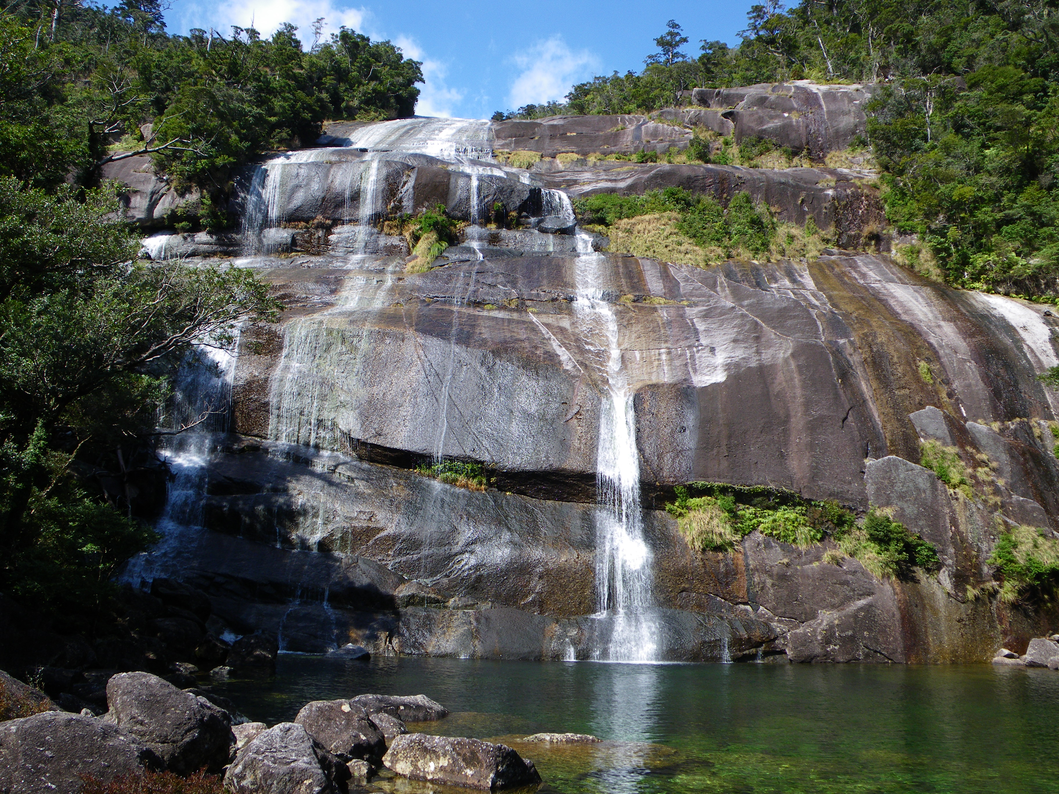 http://greenmessenger-yakushima.com/blog/110.JPG