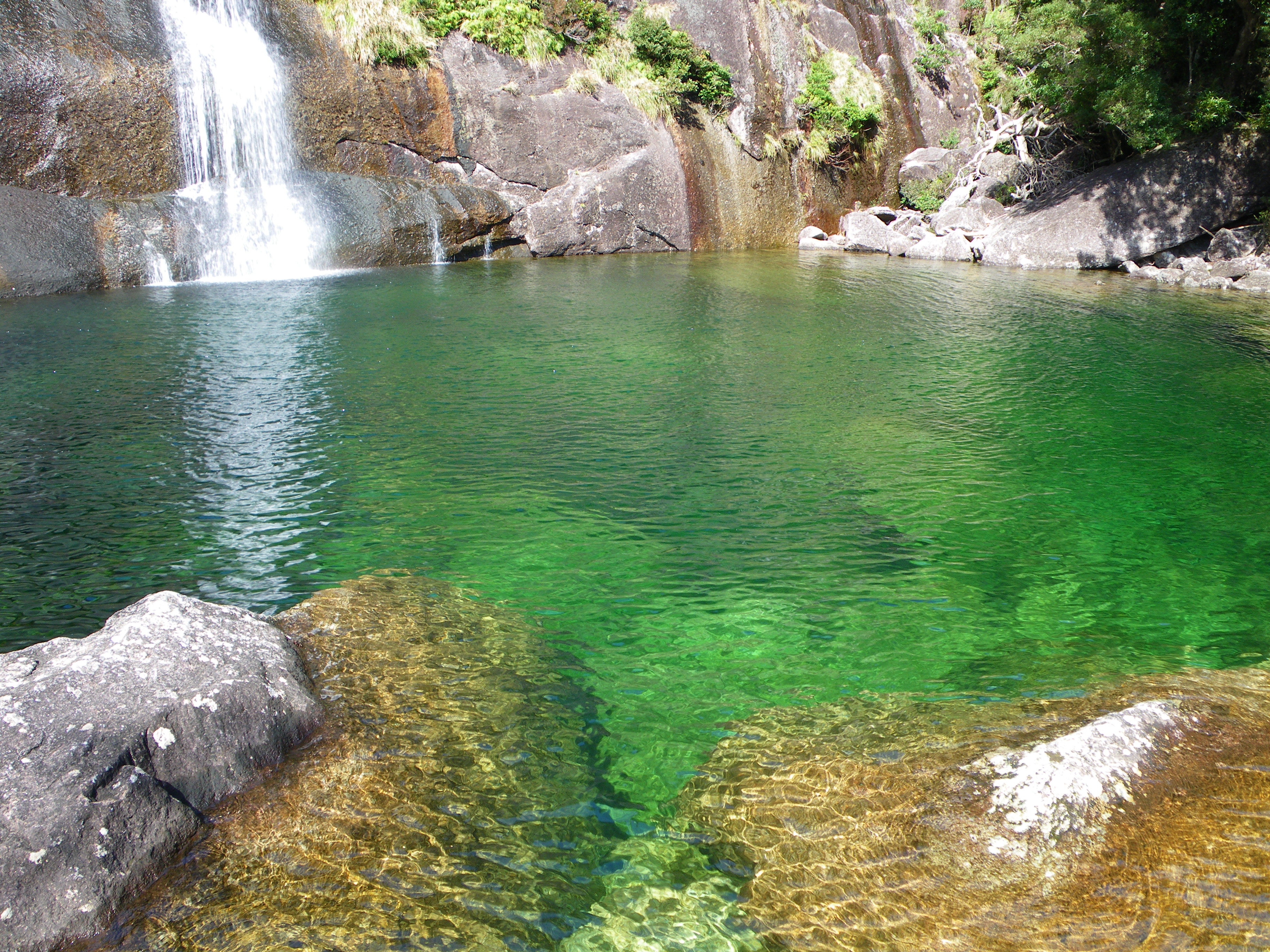 http://greenmessenger-yakushima.com/blog/115.JPG