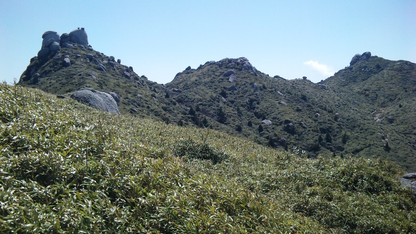 http://greenmessenger-yakushima.com/blog/159.JPG