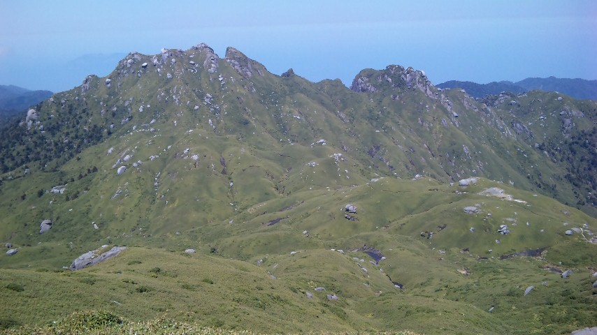 http://greenmessenger-yakushima.com/blog/173.JPG