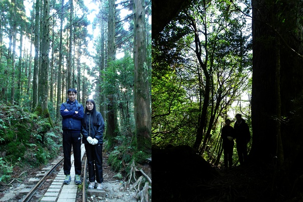 http://greenmessenger-yakushima.com/blog/20121024.png