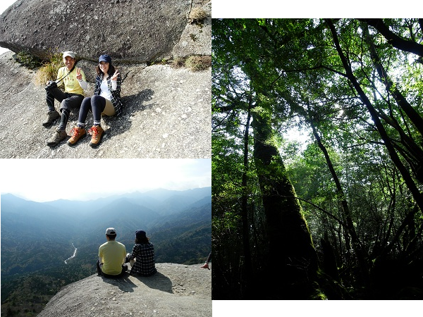 http://greenmessenger-yakushima.com/blog/201210261.png