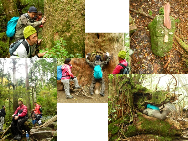 http://greenmessenger-yakushima.com/blog/201211041.png