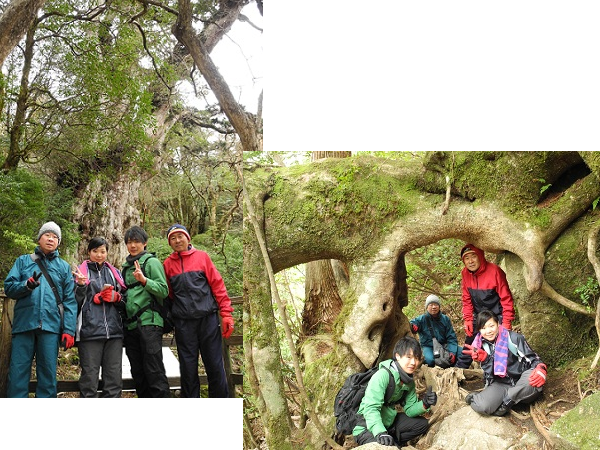 http://greenmessenger-yakushima.com/blog/201302222.png