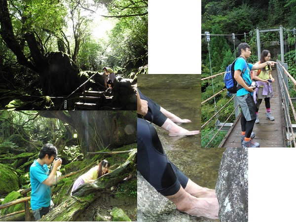 http://greenmessenger-yakushima.com/blog/20131011-2.png