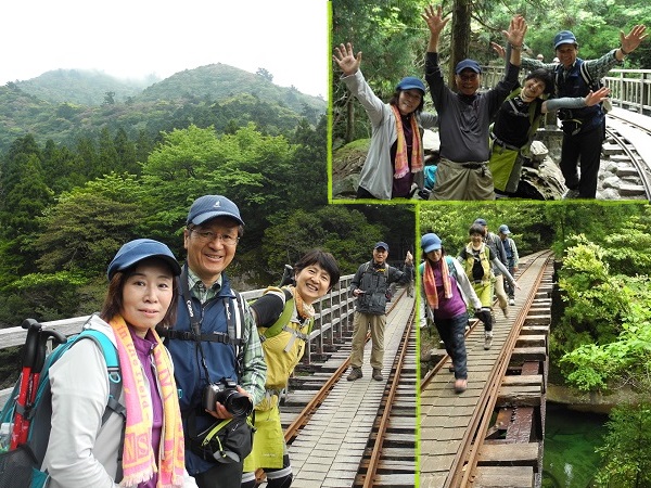 http://greenmessenger-yakushima.com/blog/20140511.jpg