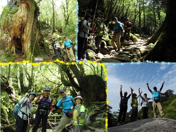 http://greenmessenger-yakushima.com/blog/20140513.jpg