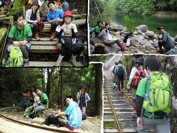 http://greenmessenger-yakushima.com/blog/20140614.jpg