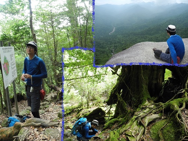 http://greenmessenger-yakushima.com/blog/20140615.jpg