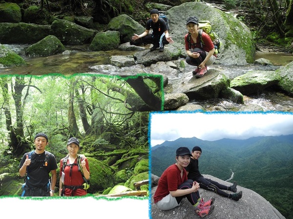 http://greenmessenger-yakushima.com/blog/20140815.jpg