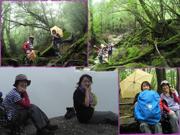 http://greenmessenger-yakushima.com/blog/20140915.jpg