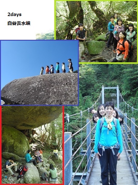 http://greenmessenger-yakushima.com/blog/20141026-27-2.jpg