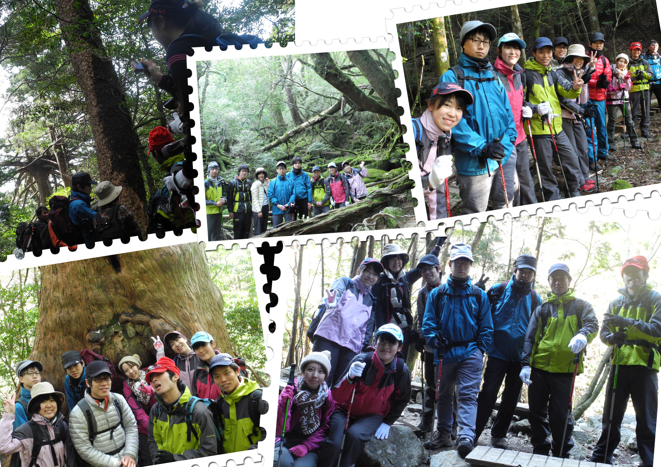 http://greenmessenger-yakushima.com/blog/20150314.jpg