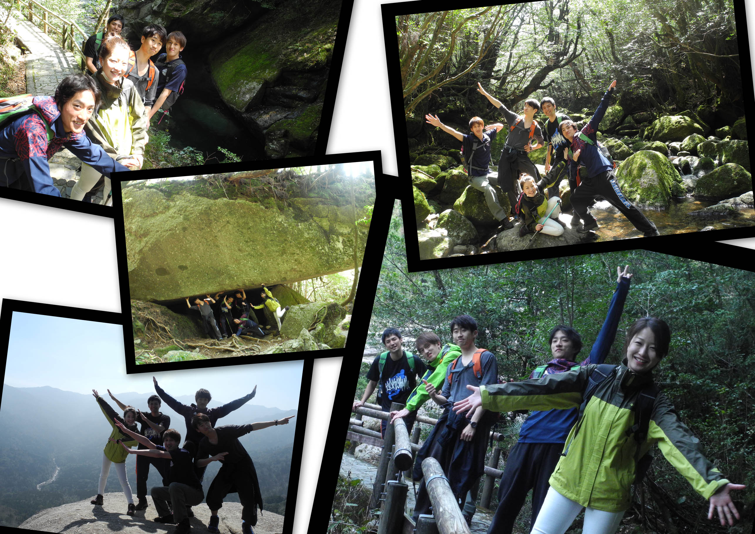 http://greenmessenger-yakushima.com/blog/20150322.jpg