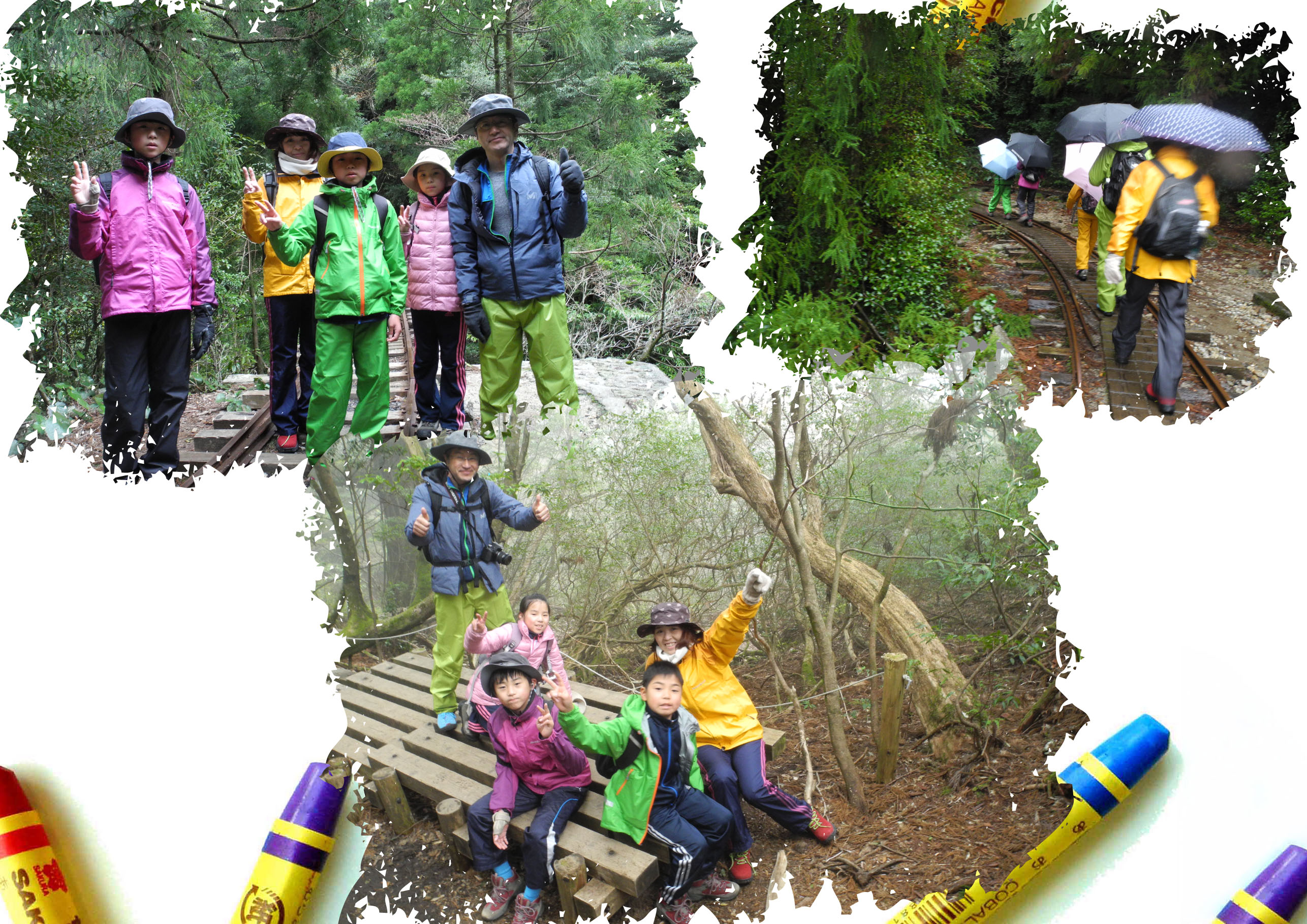 http://greenmessenger-yakushima.com/blog/20150328-1.jpg