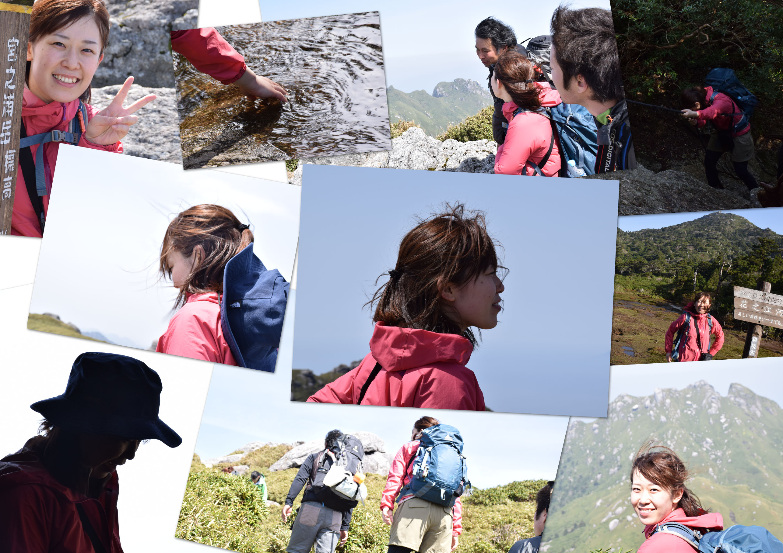 http://greenmessenger-yakushima.com/blog/20150417-1.jpg