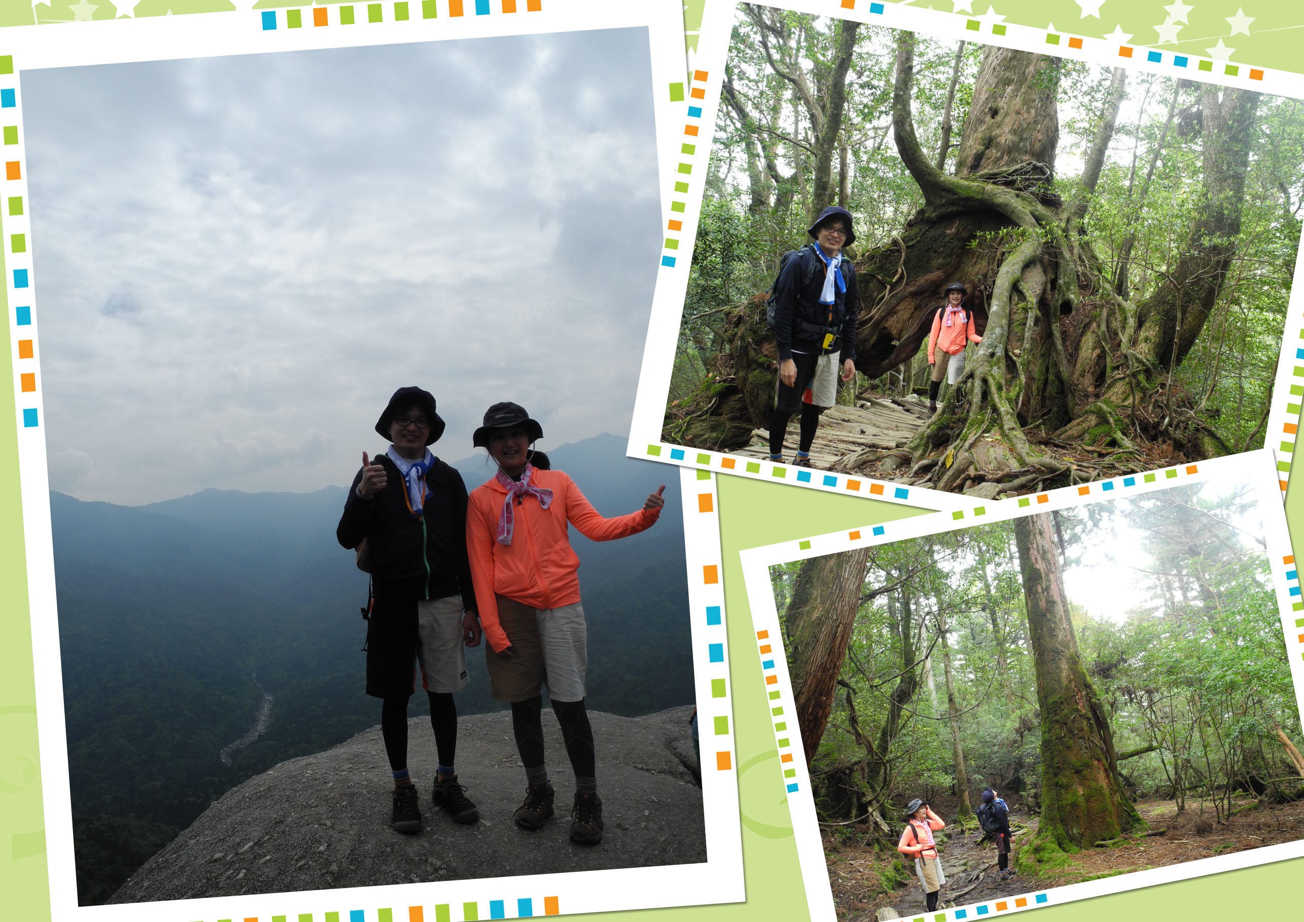 http://greenmessenger-yakushima.com/blog/20150424-2.jpg