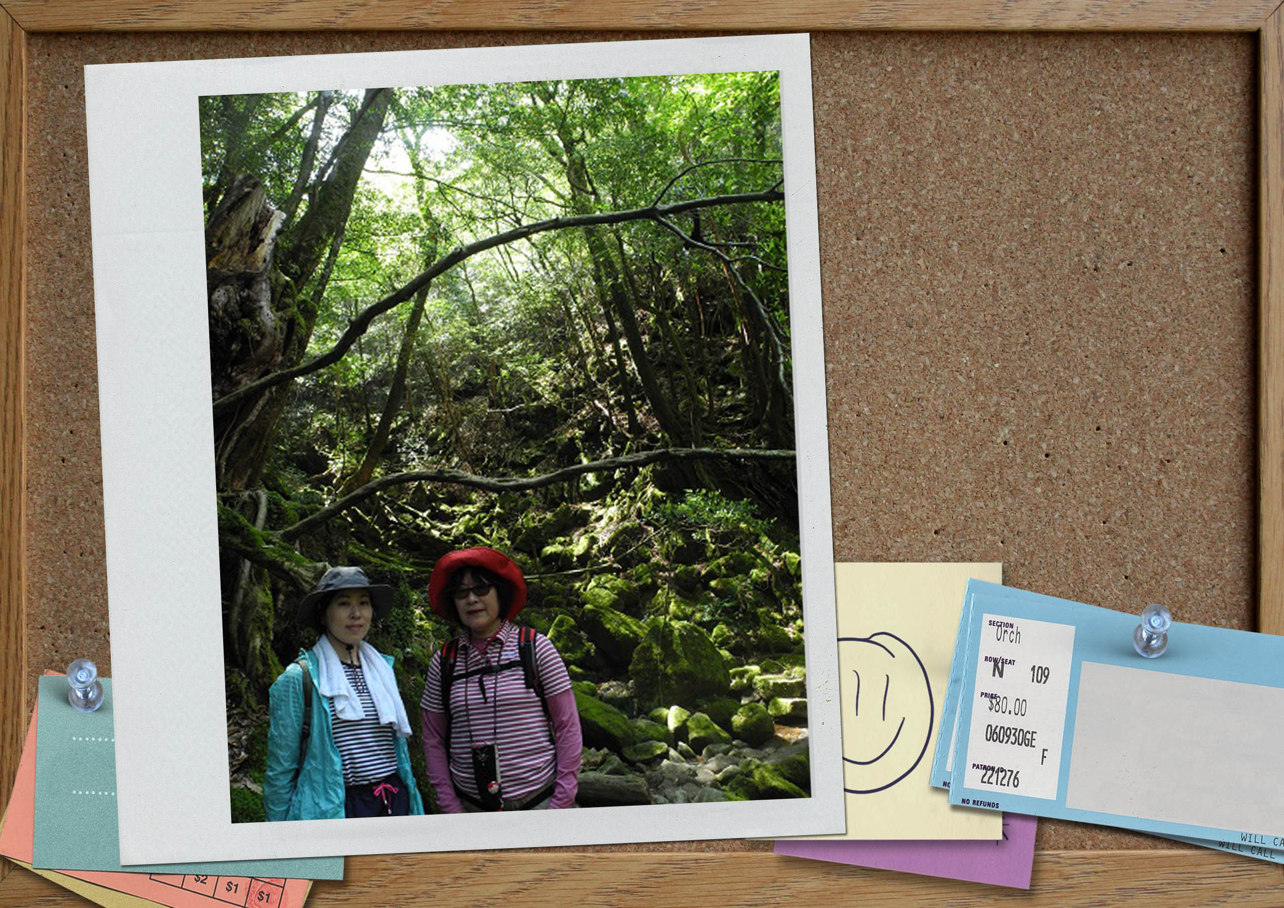 http://greenmessenger-yakushima.com/blog/20150427-2.jpg