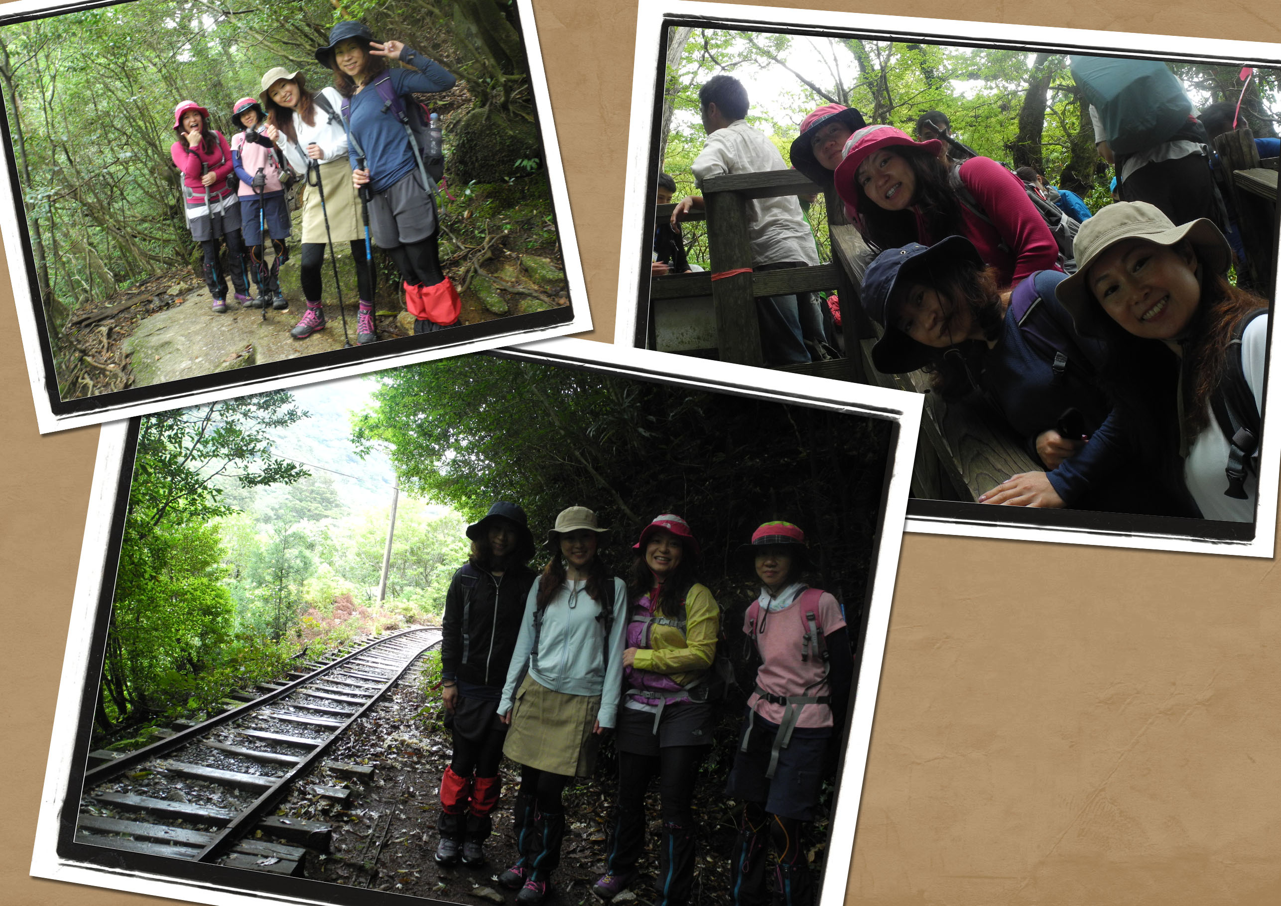 http://greenmessenger-yakushima.com/blog/20150517.jpg