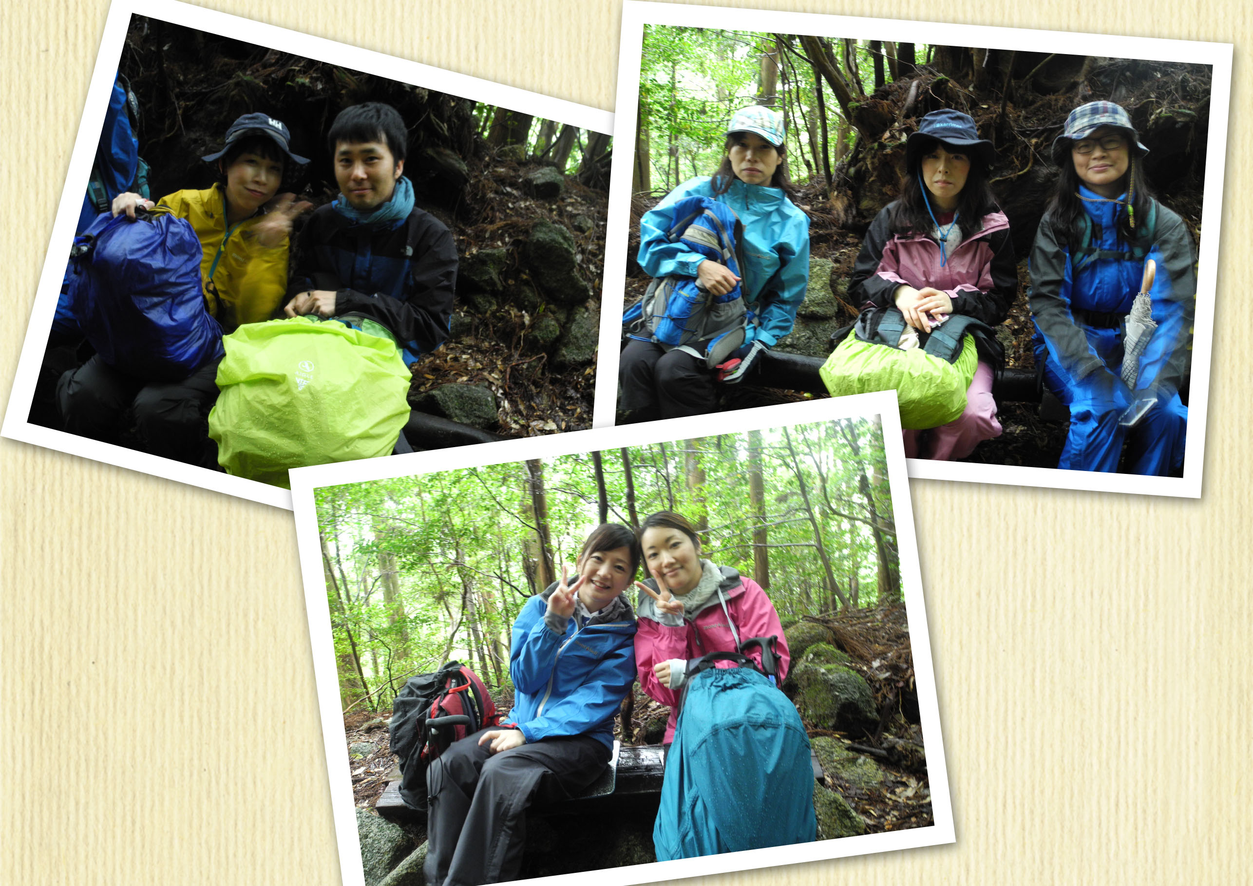 http://greenmessenger-yakushima.com/blog/20150523.jpg