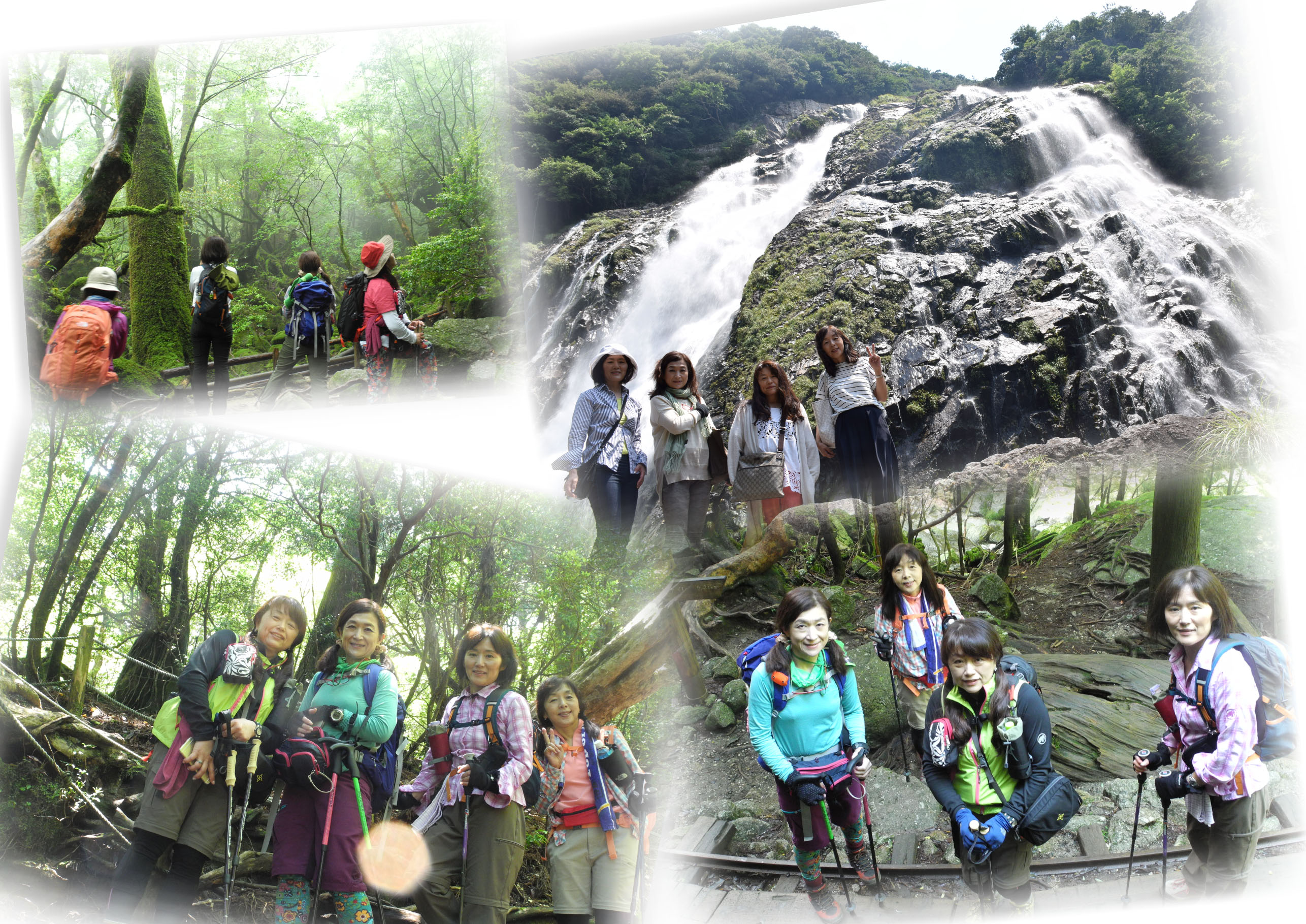 http://greenmessenger-yakushima.com/blog/20150525-27-1.jpg