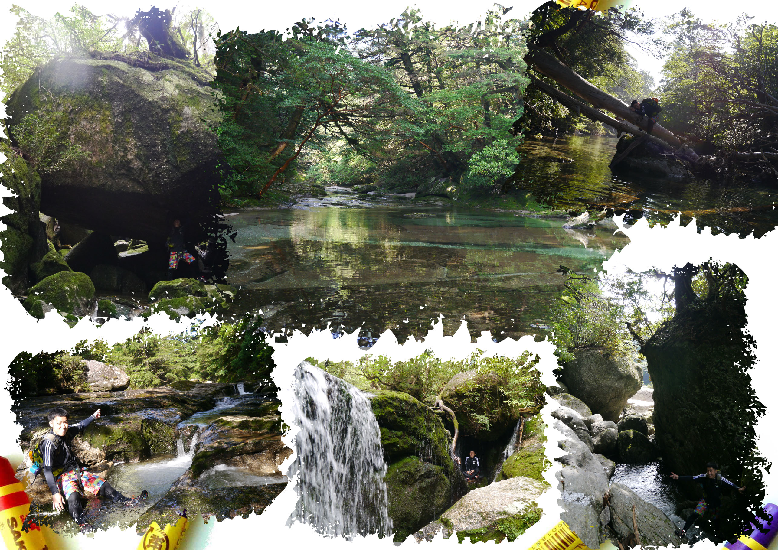 http://greenmessenger-yakushima.com/blog/20150804.jpg