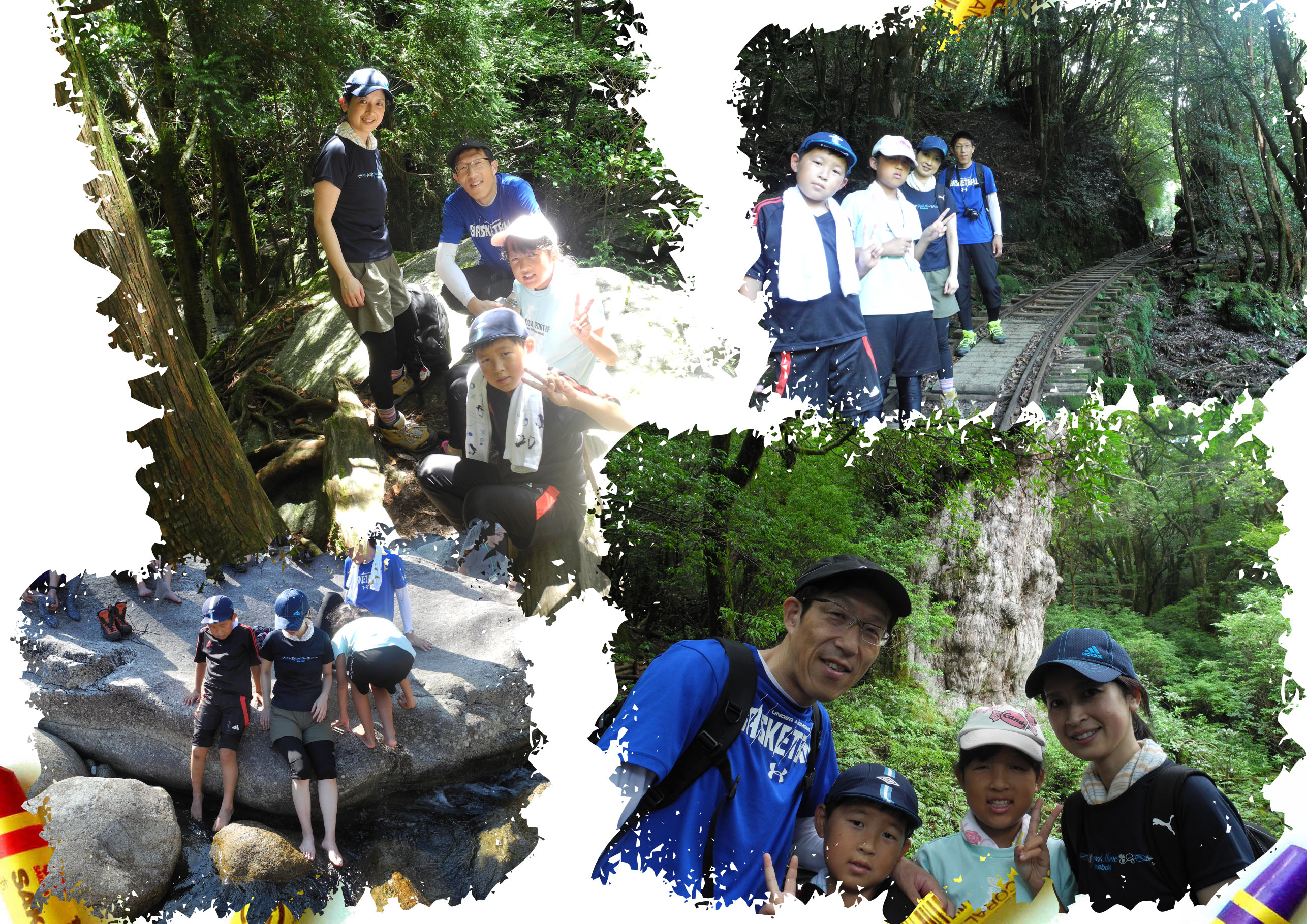 http://greenmessenger-yakushima.com/blog/20150813-2.jpg