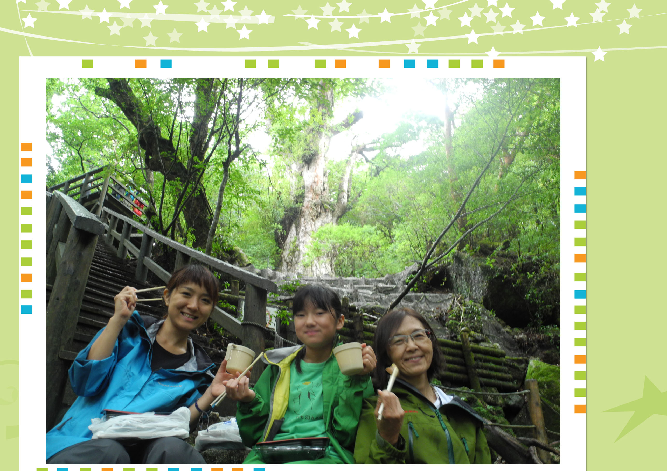 http://greenmessenger-yakushima.com/blog/20150817.jpg