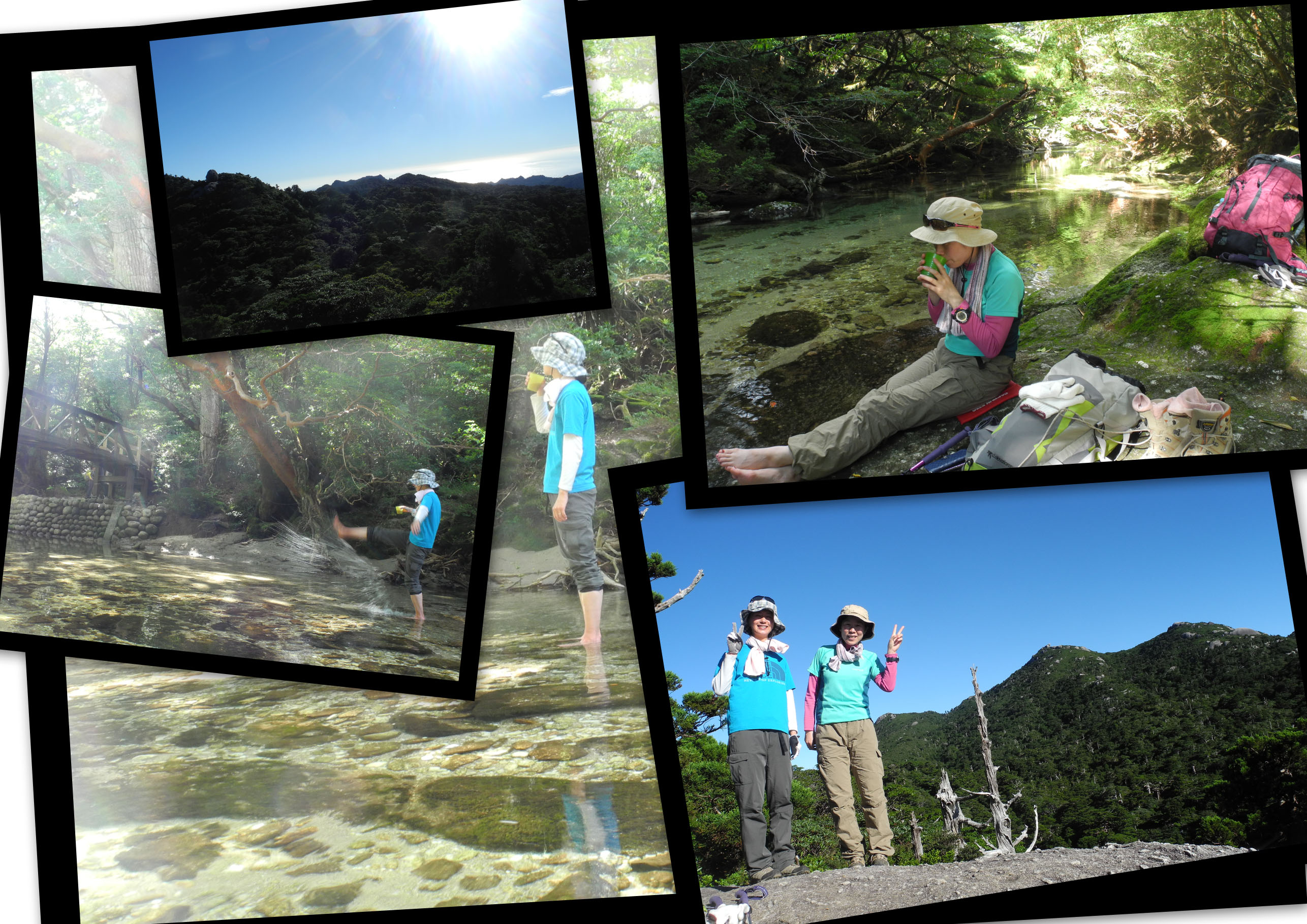 http://greenmessenger-yakushima.com/blog/20150822-2.jpg