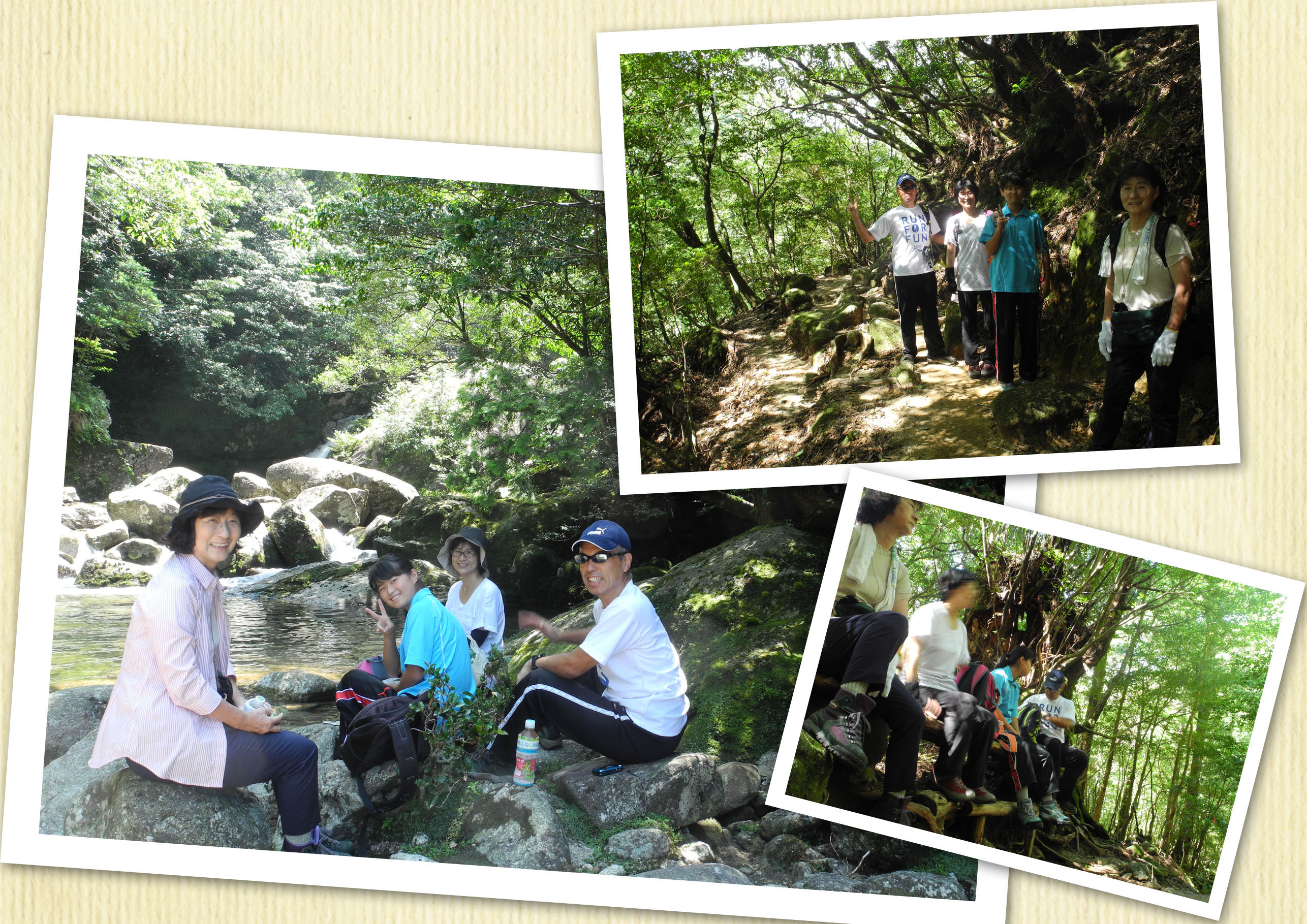 http://greenmessenger-yakushima.com/blog/20150827.jpg