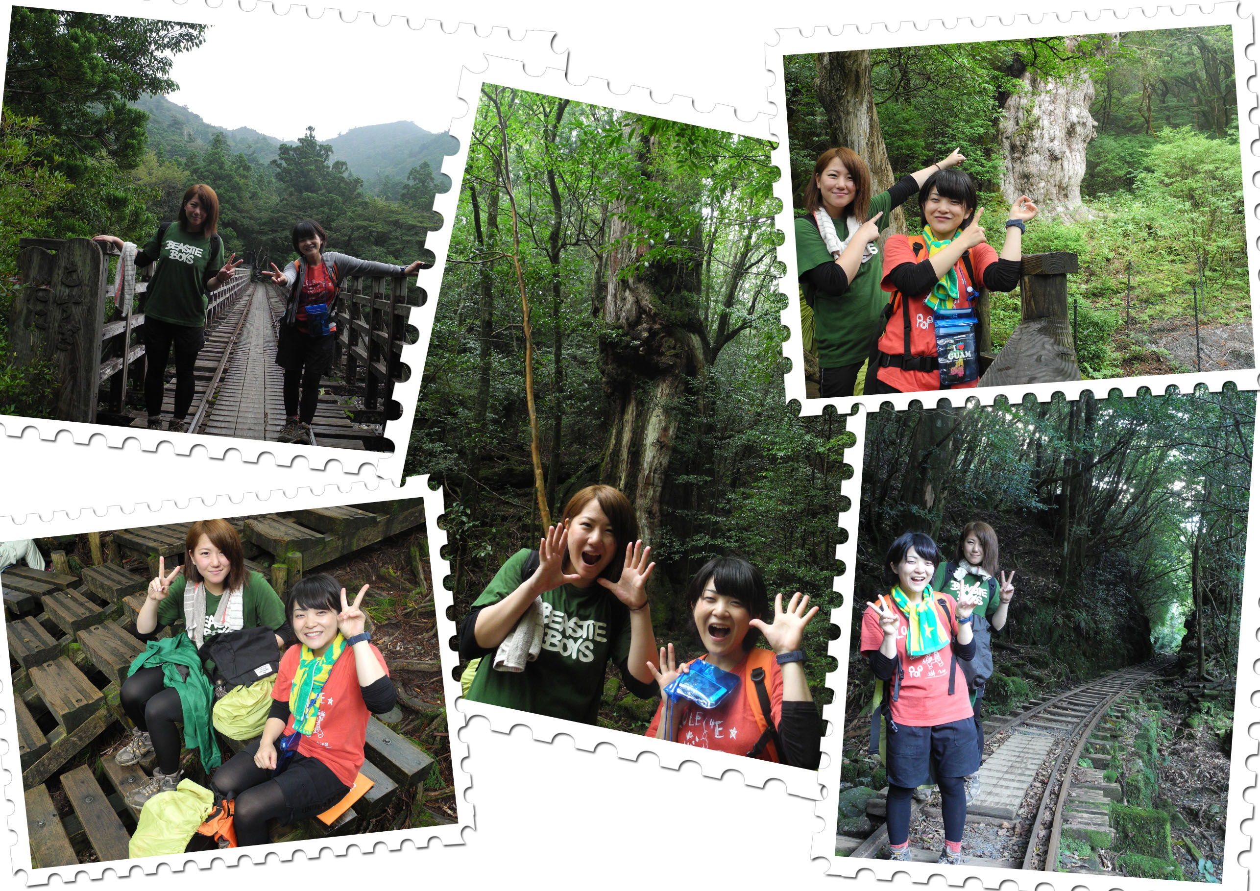 http://greenmessenger-yakushima.com/blog/20150913.jpg