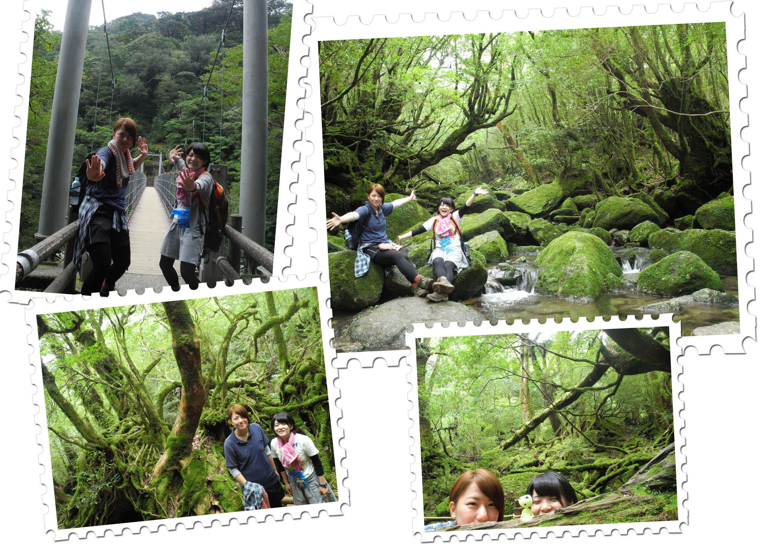 http://greenmessenger-yakushima.com/blog/20150914.jpg