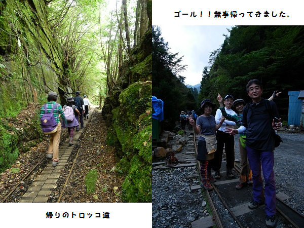 http://greenmessenger-yakushima.com/blog/3.png